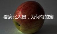 看病比人贵，为何有的宠物医院却赚钱难？