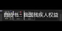 白皮书：我国残疾人权益保障更加有力