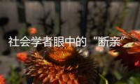 社会学者眼中的“断亲”
	：不是社会问题，也不代表社会进步