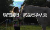 确定回归�
！武磊已承认夏窗回归上海海港队