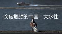 突破瓶颈的中国十大水性漆品牌如鱼得水