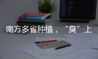 南方多省种植
，“臭”上热搜的石楠花怎么成为了城市绿化的“性价比之王”
？丨硬核唠科