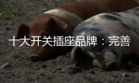十大开关插座品牌
：完善服务 成就行业优质品牌