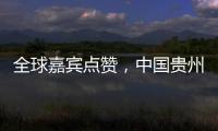 全球嘉宾点赞
，中国贵州正点绿成“金”