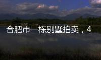 合肥市一栋别墅拍卖，4人报名竞拍却以起拍价282万就成交了