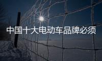 中国十大电动车品牌必须快速适应市场变化