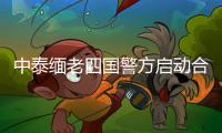中泰缅老四国警方启动合作打击赌诈集团专项联合行动