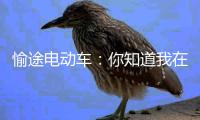 愉途电动车�：你知道我在等你吗?