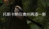 托斯卡纳在贵州再添一新成员，队伍正在日益壮大