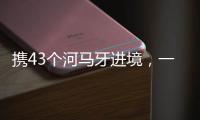 携43个河马牙进境�，一男子在拱北口岸被查