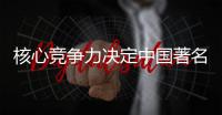 核心竞争力决定中国著名安防品牌的生存