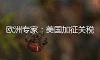 欧洲专家�：美国加征关税将伤及自身 贸易战没有赢家