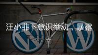 汪小菲下意识举动
�，暴露真实人品，终于明白大S和马筱梅谁在说谎
