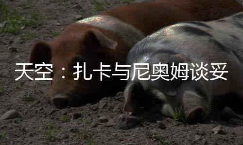 扎卡已与尼奥姆达成原则协议