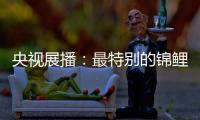 央视展播
：最特别的锦鲤——佳得福金门窗