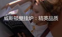 威斯顿壁挂炉�：精英品质 温暖你我