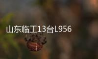 山东临工13台L956HEV定制电装交付生物质发电企业，开启绿色租赁新篇章