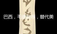巴西，毛遂自荐
，替代美国