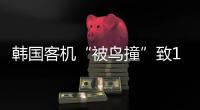 韩国客机“被鸟撞”致179死�，飞机和飞鸟之间有几道防线	？丨漫热点