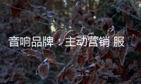 音响品牌：主动营销 服务先行