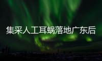 集采人工耳蜗落地广东后，哪些人最受益
	？