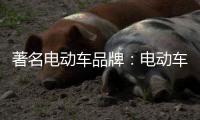 著名电动车品牌：电动车故障维修大全