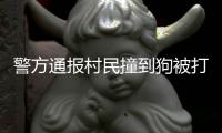 警方通报村民撞到狗被打：5名嫌疑人到案 犬主曾任村干部