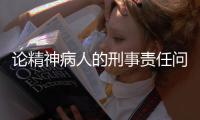 论精神病人的刑事责任问题