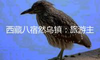 西藏八宿然乌镇：旅游主线带动产业协调发展