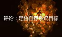 评论：足协自荐系统目标需更加明确