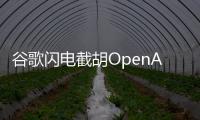 谷歌闪电截胡OpenAI�，挖走这家公司CEO与核心大脑