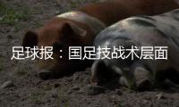 足球报：国足技战术层面和亚洲强队差距太大 腰无力困境更是无解