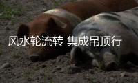 风水轮流转 集成吊顶行业又回到“电器时代”？
