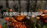 7月全国社会物流总额同比增长5.3%