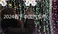 2024吞下中国汽车市场1/4利润，长城真能摆脱“价格战”
？