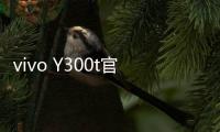vivo Y300t官宣3月31日发布
：超长续航，超强性能