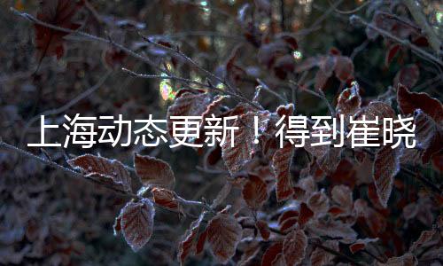 上海还有两个顶薪合同