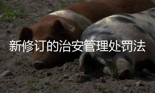 自2026年1月1日起施行