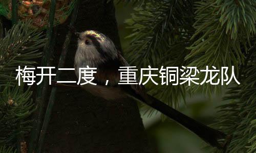 当选第轮比赛第29分钟