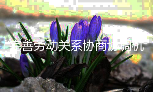 完善劳动关系协商协调机制