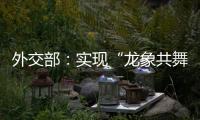 外交部
：实现“龙象共舞”是中印两国唯一正确的选择