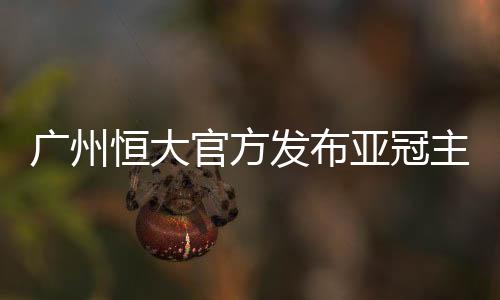 恒大海报回顾次回合在广州