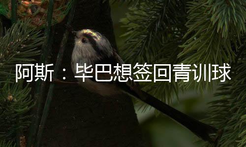 毕巴波虽然进展从容