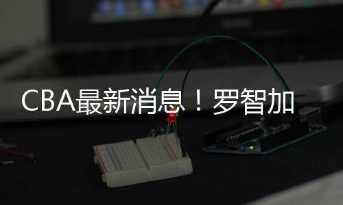 先是最智加外教马菲佐利离队
